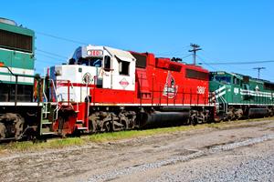 P&L 3801 Louisville  Cardinal