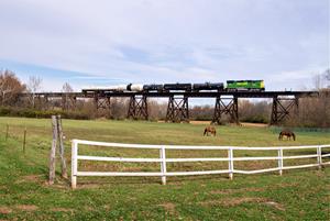 Horses and a former Thoroughbred on the Okeana Trestle