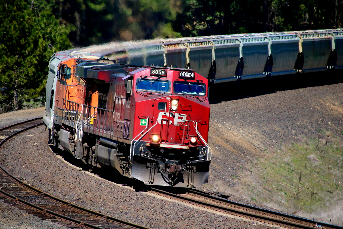 CP 8056 is a class GE AC4400CW and  is pictured in Scribner, Washington, USA.  This was taken along the Lakeside/BNSF on the Canada. Photo Copyright: Rick Doughty uploaded to Railroad Gallery on 05/03/2024. This photograph of CP 8056 was taken on Friday, April 19, 2024. All Rights Reserved. 